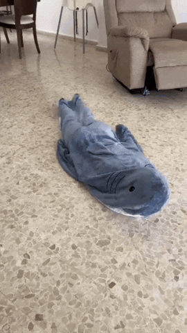Shark blanket